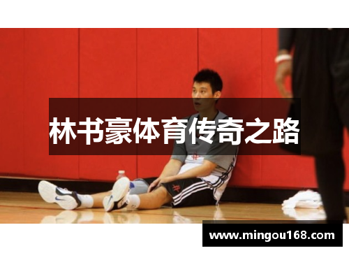 林书豪体育传奇之路